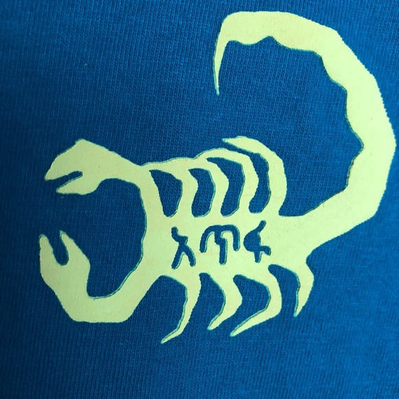 Erase Scorpion Men’s Long Sleeve Teal Shirt Pacsun - Picture 5 of 6